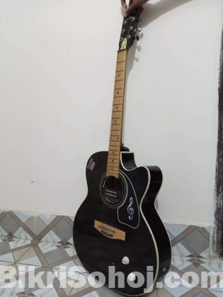 Giveson guitar